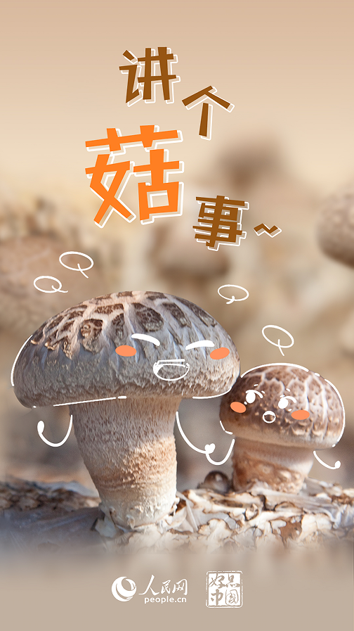 天美测速：好品中国｜超级“蘑”力 不可“菇”量